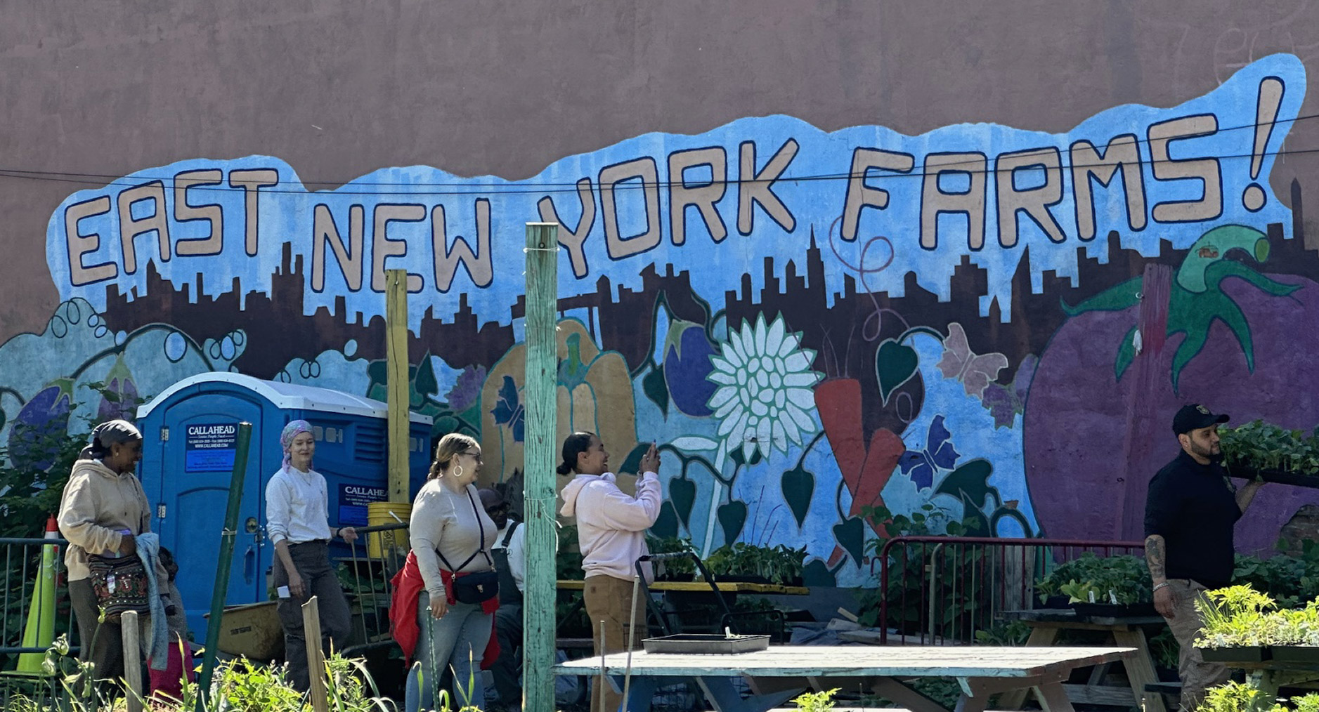 Volunteers walk past a colorful mural reading “East New York Farms!” painted with a city skyline, vegetables and flowers on a brick wall above the farm’s garden beds and seedling tables.